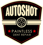Auto Shot Paintless Dent Repair